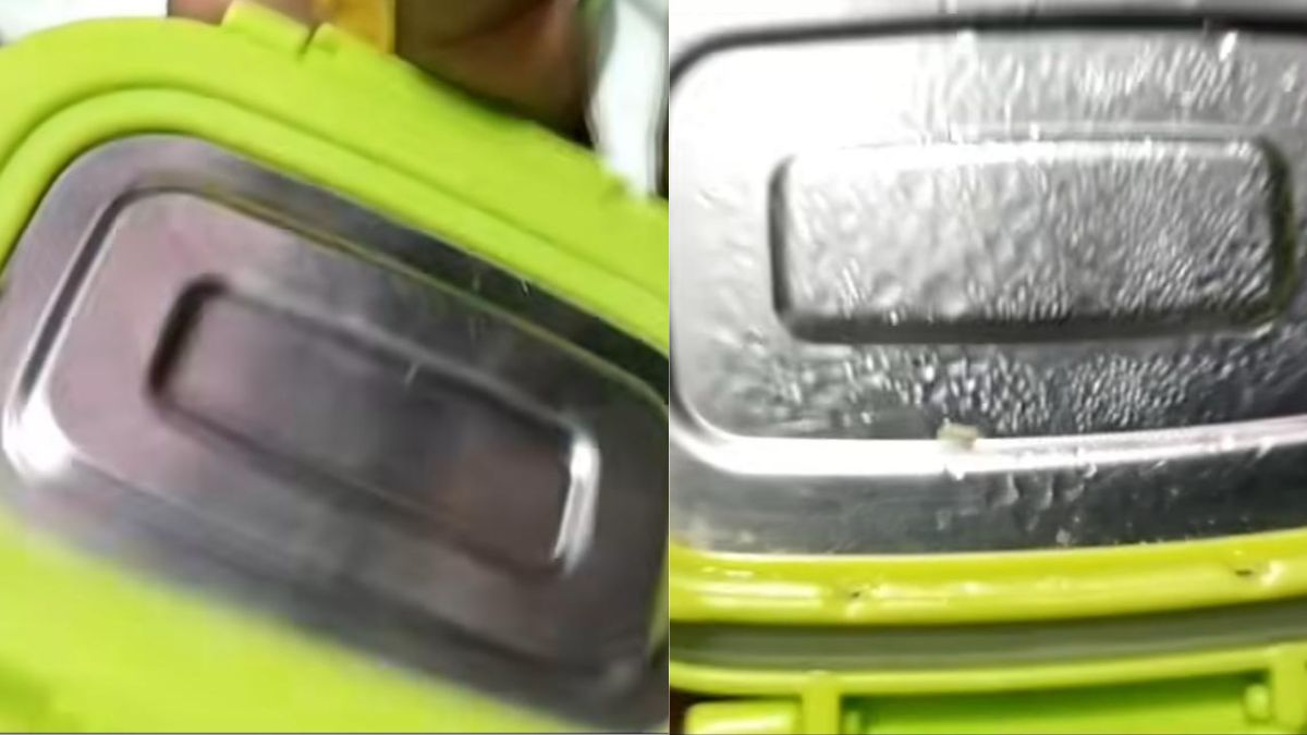 Viral Video Shows Larvae Inside Packed Tiffin Lid, Sparks Hygiene Alarm