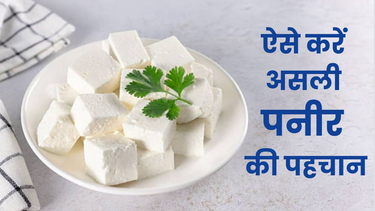 नकली पनीर की क्या पहचान है? अब इस तरह झट से करें पहचान