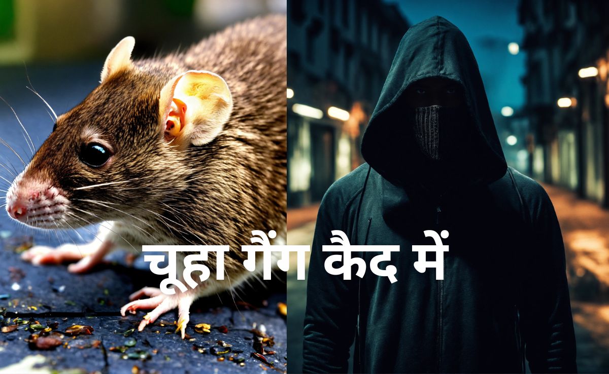 चूहा गैंग नोएडा से गिरफ्तार, टैक्सी से सभी सेक्टरों में करते थे रेकी, फिर देते थे वारदात को अंजाम