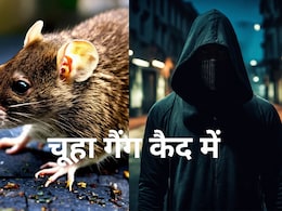 चूहा गैंग नोएडा से गिरफ्तार, टैक्सी से सभी सेक्टरों में करते थे रेकी, फिर देते थे वारदात को अंजाम चूहा गैंग नोएडा से गिरफ्तार, टैक्सी से सभी सेक्टरों में करते थे रेकी, फिर देते थे वारदात को अंजाम