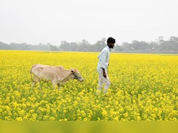 किसान-पशुपालकों के लिए बड़ा मौका, मिलेगा 5 लाख रुपये; जल्दी-जल्दी योजना में करें आवेदन किसान-पशुपालकों के लिए बड़ा मौका, मिलेगा 5 लाख रुपये; जल्दी-जल्दी योजना में करें आवेदन