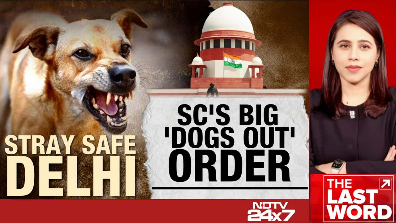 Video: Big Supreme Court Order On India's Stray Dog Menace