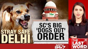 Big Supreme Court Order On India's Stray Dog Menace