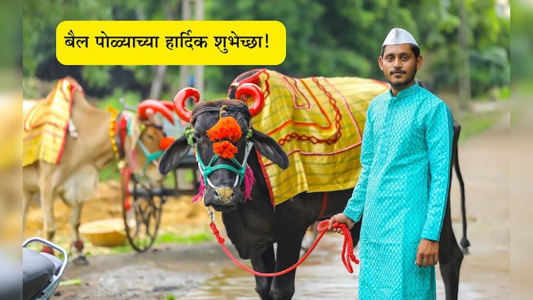 Bail Pola 2025 Wishes In Marathi: बैल म्हणजे शेतीची शान आणि शेतकऱ्याचा मान, पोळा सणाच्या पाठवा खास शुभेच्छा