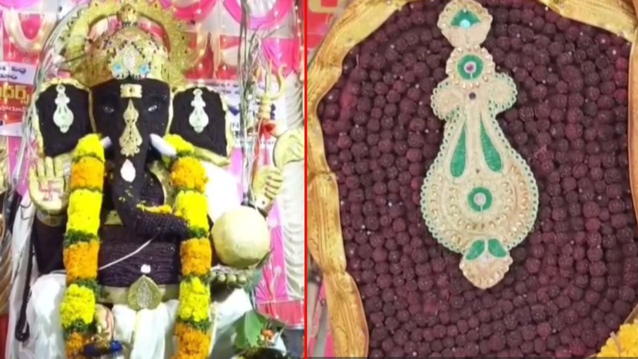 Video: Ganesh Chaturthi: Nellore's Ganesh Idol With 20,000 Rudraksha Beads Steals The Spotlight