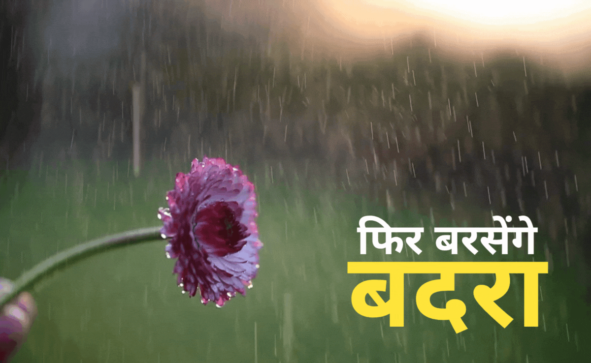 Monsoon Rain: MP में फिर तबाही मचाएगी मानसूनी बारिश, जानिए आज का हाल, 13-14 अगस्त के लिए है विशेष अलर्ट!