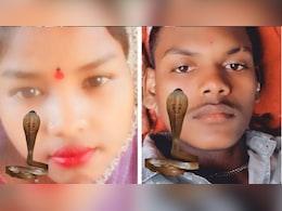 सांप के काटने से पति-पत्नी की मौत, जहरीले सांप ने सोते वक्त दंपती के शरीर में उतार दिया जहर सांप के काटने से पति-पत्नी की मौत, जहरीले सांप ने सोते वक्त दंपती के शरीर में उतार दिया जहर