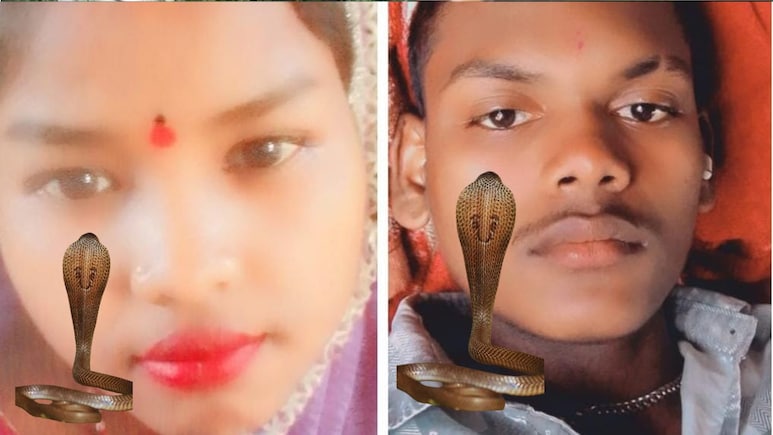 सांप के काटने से पति-पत्नी की मौत, जहरीले सांप ने सोते वक्त दंपती के शरीर में उतार दिया जहर सांप के काटने से पति-पत्नी की मौत, जहरीले सांप ने सोते वक्त दंपती के शरीर में उतार दिया जहर