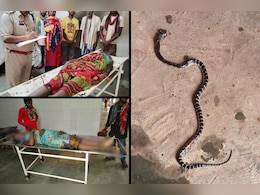Snake Bite: 'साइलेंट किलर' के जहर ने ली दो महिलाओं की जान, जानें - करैत सांप क्यों होता है इतना खतरनाक Snake Bite: 'साइलेंट किलर' के जहर ने ली दो महिलाओं की जान, जानें - करैत सांप क्यों होता है इतना खतरनाक