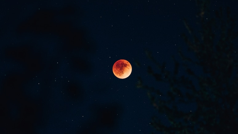 Blood Moon Festival 2025: All You Need To Know About The Desert Event In Jaisalmer