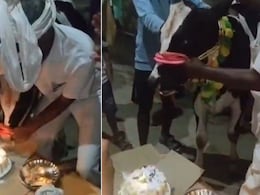 किसान ने मनाया बछड़े के 1 साल का होने का जश्न, गांव को भेजा न्योता, बर्थडे पर काटा केक, Video जीत लेगा दिल किसान ने मनाया बछड़े के 1 साल का होने का जश्न, गांव को भेजा न्योता, बर्थडे पर काटा केक, Video जीत लेगा दिल