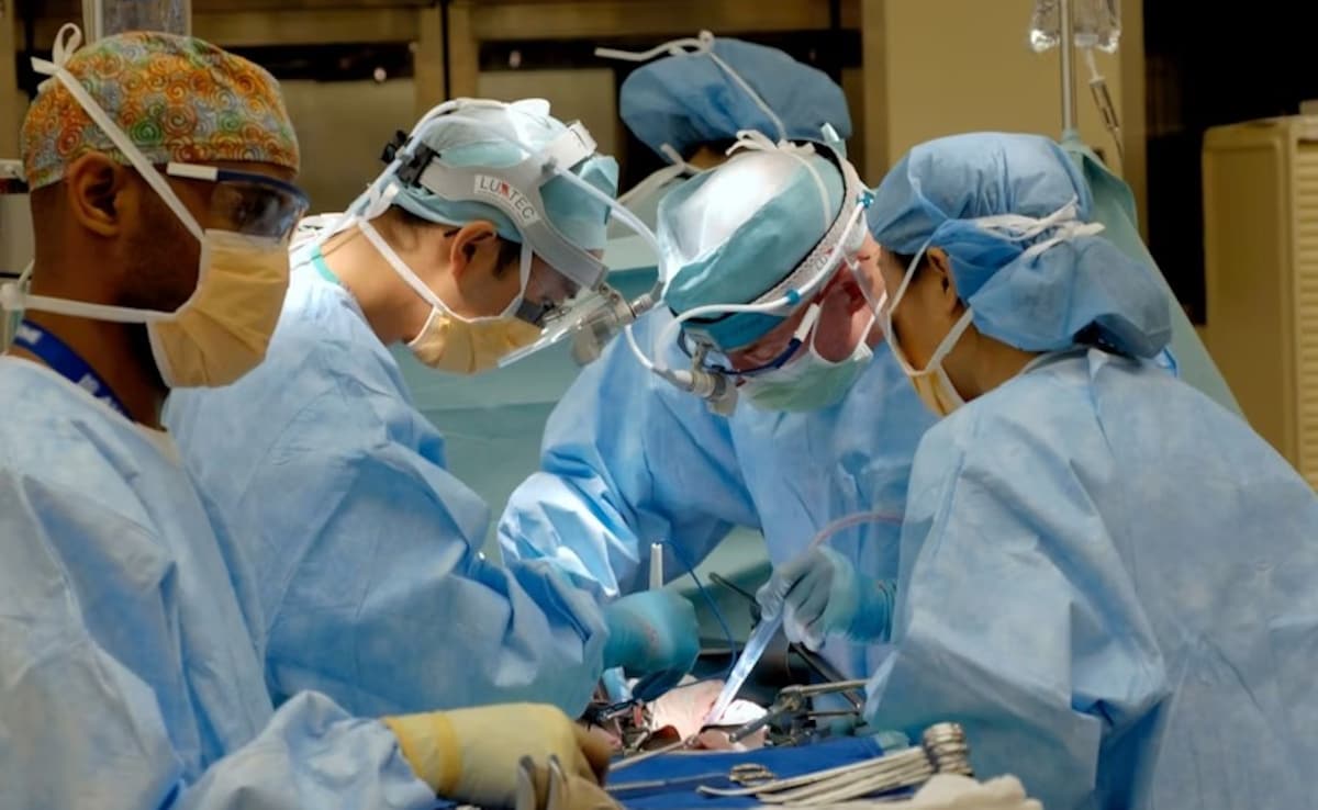 US Woman Wakes Up From Coma Moments Before Organ Donation Surgery