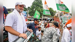 "Has Time To Go To Malaysia...": BJP On Rahul Gandhi Skipping Veep Oath