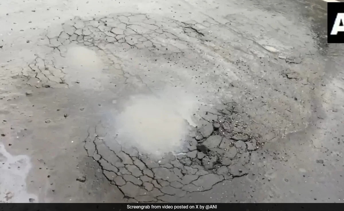 Patna Flyover Develops Cracks After Rain, Sparks Public Outrage