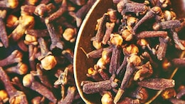 लौंग: इम्यून सिस्टम को बूस्ट और पाचन तंत्र को करता है दुरुस्त, मगर ये सावधानियां भी हैं जरूरी