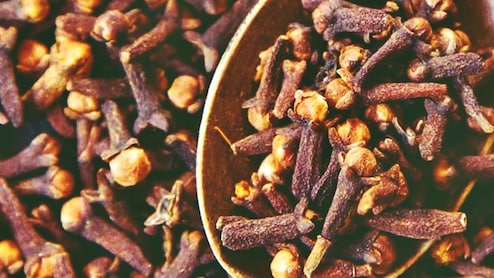 लौंग: इम्यून सिस्टम को बूस्ट और पाचन तंत्र को करता है दुरुस्त, मगर ये सावधानियां भी हैं जरूरी