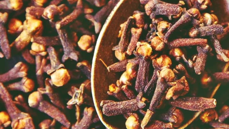 लौंग: इम्यून सिस्टम को बूस्ट और पाचन तंत्र को करता है दुरुस्त, मगर ये सावधानियां भी हैं जरूरी