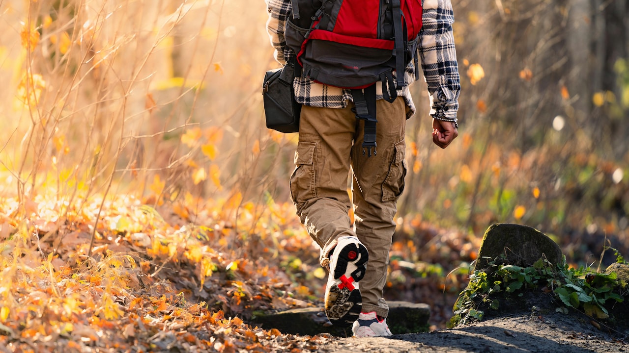 Get Mens New Collections In Cargo Pants for A street style look 
