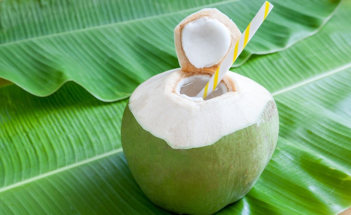 Keep these factors in mind when considering consuming coconut water