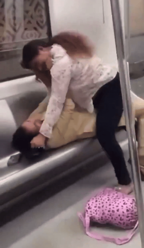 Metro Video: दिल्ली मेट्रो में दे दनादन... बाल नोंचते हुए सीट पर मल्ल युद्ध करती दिखीं महिलाएं