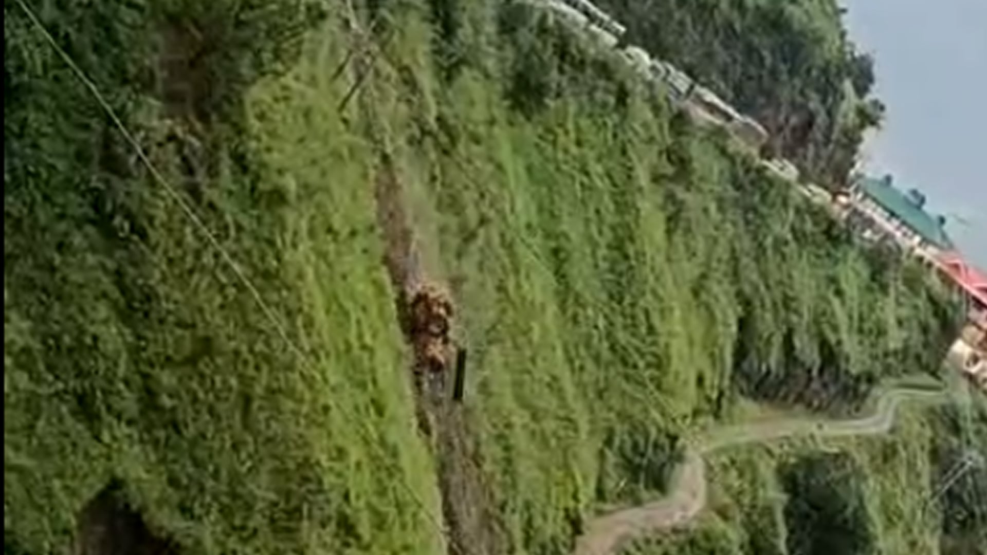 Video: Bulldozer Falls 300 Metres From Steep Road In Himachal, Driver Critical