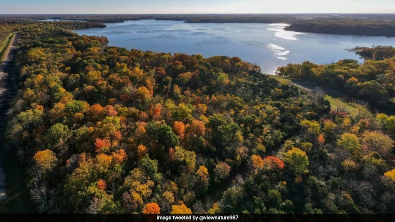 US Woman, Driven By "Spiritual Delusions" Drowns 4-Year-Old Son In Lake To "Give Him To God" US Woman, Driven By "Spiritual Delusions" Drowns 4-Year-Old Son In Lake To "Give Him To God"
