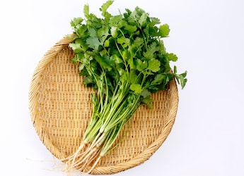 5 Clever Ways To Use Coriander Stems Instead Of Throwing Them Away