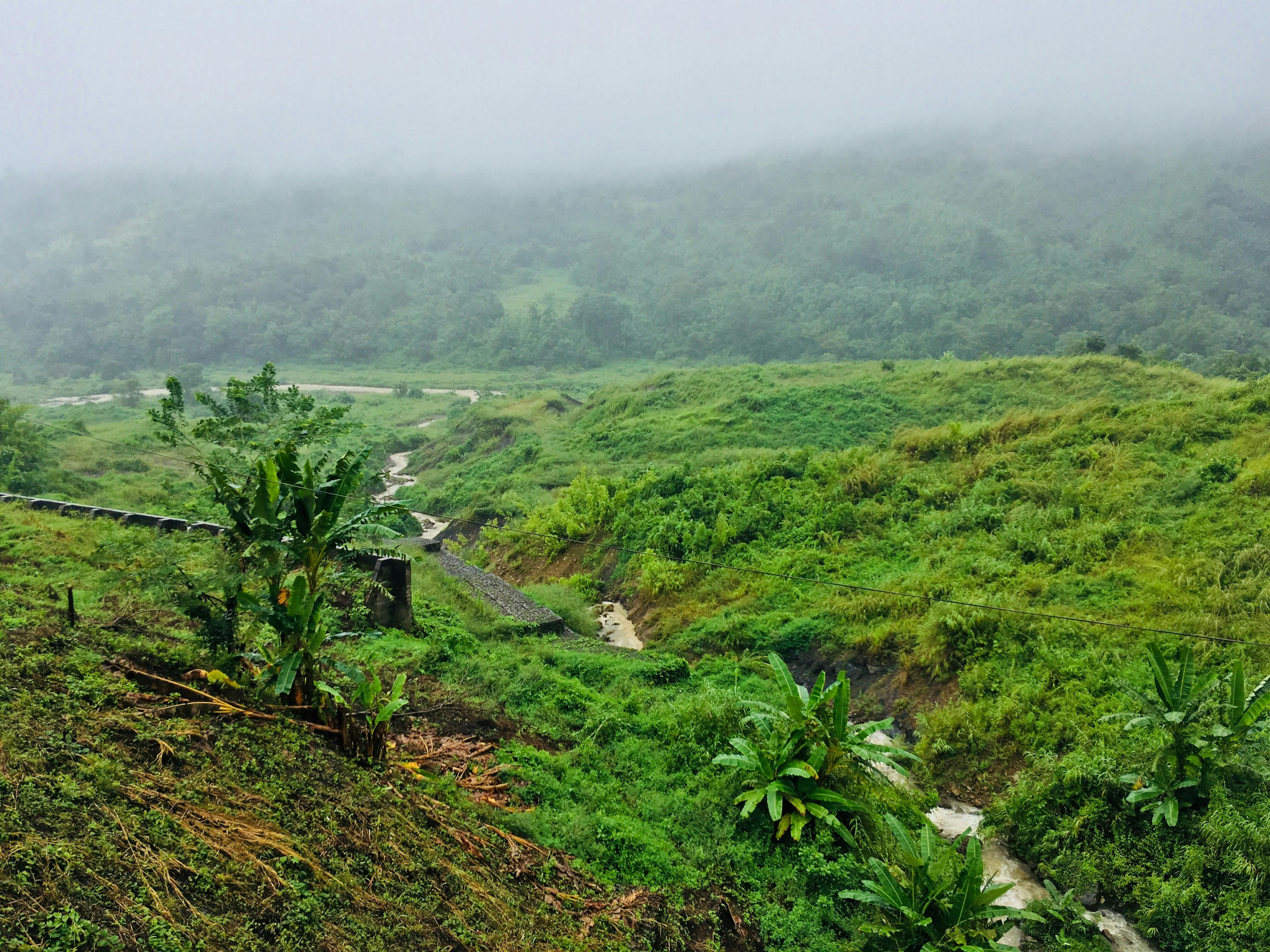 Assam Chief Minister Himanta Sarma Targets Illegal Forest Encroachments