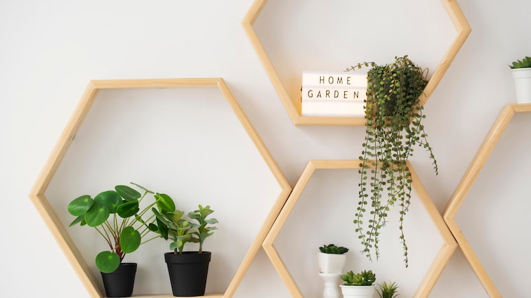 Wall shelves under 500: हर कोई हो जाएगा आपके घर के इंटीरियर का दीवाना