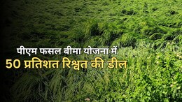 ACB Action: PM फसल बीमा योजना में खेल....पटवारी ने की 50 परसेंट में डील, 95000 रुपये घूस लेते रंगे हाथ ट्रैप