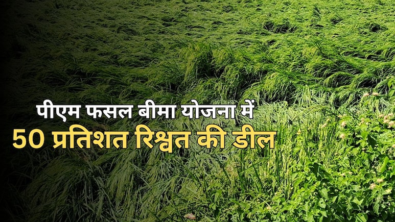 ACB Action: PM फसल बीमा योजना में खेल....पटवारी ने की 50 परसेंट में डील, 95000 रुपये घूस लेते रंगे हाथ ट्रैप