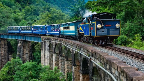 Train vs Bus In India: Which One Wins On Comfort, Cost And Convenience