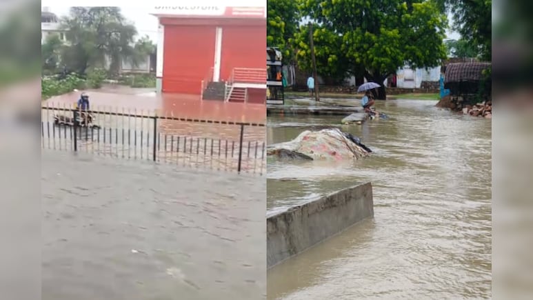 Rajasthan: खतरे के निशान पर बह रही है चंबल नदी, पार्वती बांध के भी 4 गेट खुले; कई गांवों का संपर्क टूटा