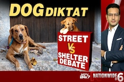 Dog Diktat: Street Vs Shelter Debate Dog Diktat: Street Vs Shelter Debate