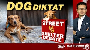 Dog Diktat: Street Vs Shelter Debate