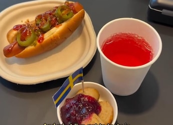 IKEA Opens Its First Store In Delhi: A Glimpse At The Food Offerings