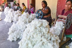 Government Extends Cotton Import Duty Exemption Till December 31 Government Extends Cotton Import Duty Exemption Till December 31