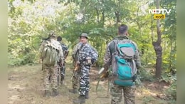 Gadchiroli News: मोठी कारवाई! गडचिरोलीत 4 जहाल नक्षलवाद्यांचा खात्मा, 3 महिलांचा समावेश