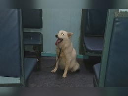 Pet Dog Found Tied In Sleeper Coach, Delays Train By An Hour Pet Dog Found Tied In Sleeper Coach, Delays Train By An Hour
