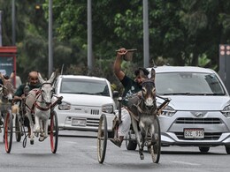 पाकिस्तान में गधों की गजब रेस, जरा तस्वीरें देखिए पाकिस्तान में गधों की गजब रेस, जरा तस्वीरें देखिए