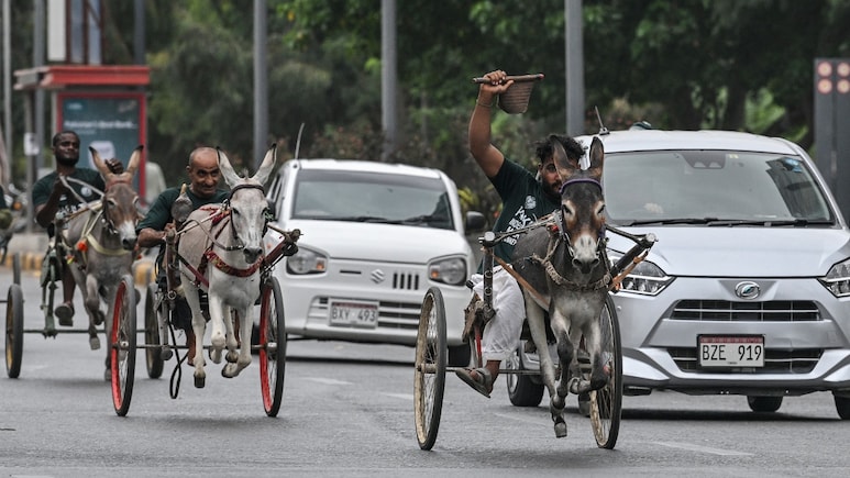 पाकिस्तान में गधों की गजब रेस, जरा तस्वीरें देखिए पाकिस्तान में गधों की गजब रेस, जरा तस्वीरें देखिए