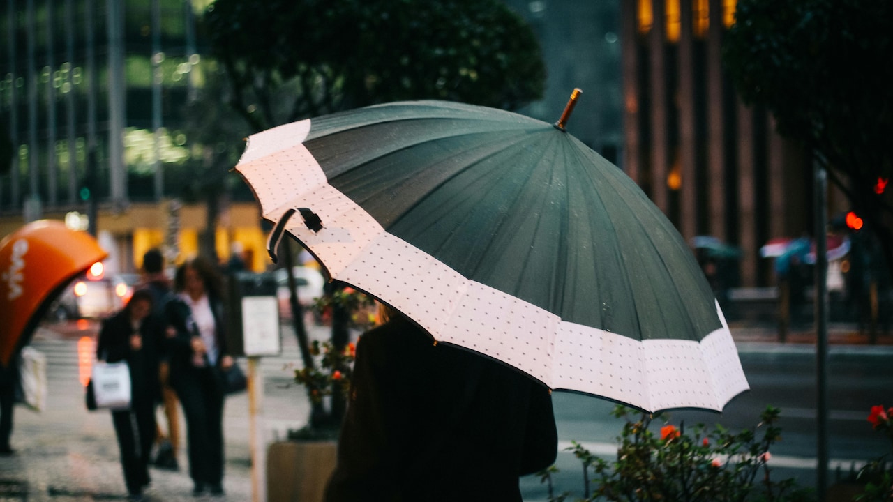 Explore top umbrella picks under 400 on Myntra