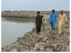 1.2 Million Displaced, 80% Water Lost: The Sinking Of Pakistan's Indus Delta