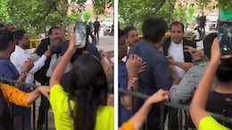 Video: Lawyer Slaps Dog Lover Outside Supreme Court