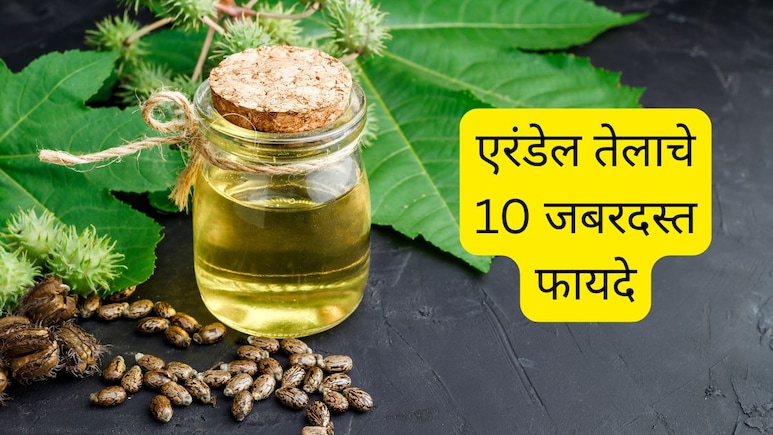 Castor Oil Benefits: एरंडेल तेलाचे 10 जबरदस्त फायदे, केसापासून पायाच्या नखापर्यंत सगळ्यासाठी होईल फायदा Castor Oil Benefits: एरंडेल तेलाचे 10 जबरदस्त फायदे, केसापासून पायाच्या नखापर्यंत सगळ्यासाठी होईल फायदा