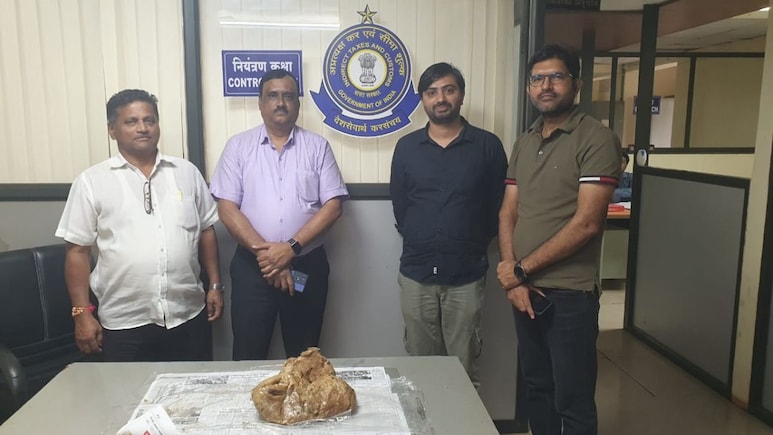 Whale Ambergris : दापोलीत 5.45 कोटी रुपयांची व्हेल माशाची उलटी जप्त, वाचा काय आहे प्रकरण?