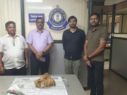 Whale Ambergris : दापोलीत 5.45 कोटी रुपयांची व्हेल माशाची उलटी जप्त, वाचा काय आहे प्रकरण? Whale Ambergris : दापोलीत 5.45 कोटी रुपयांची व्हेल माशाची उलटी जप्त, वाचा काय आहे प्रकरण?