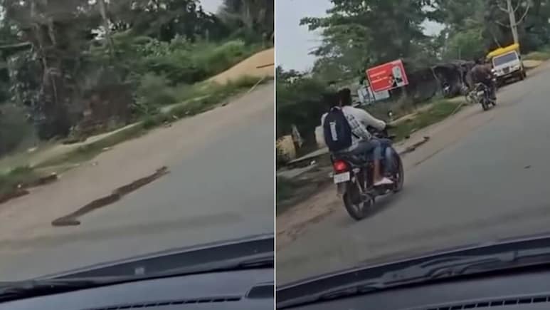 बाइक के पीछे अजगर को रस्सी से बांधकर कई किलोमीटर तक घसीटता रहा शख्स, बेजुबान के साथ ऐसी क्रूरता देख भड़के लोग बाइक के पीछे अजगर को रस्सी से बांधकर कई किलोमीटर तक घसीटता रहा शख्स, बेजुबान के साथ ऐसी क्रूरता देख भड़के लोग
