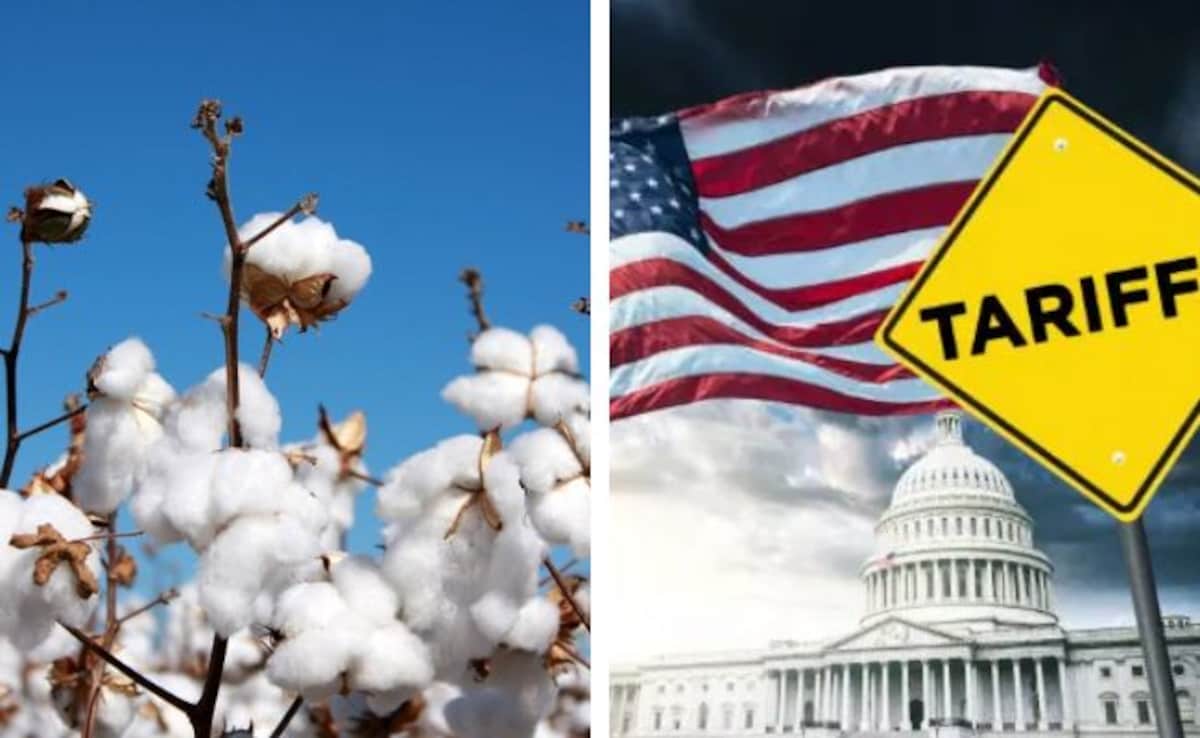 Amid US Tariffs, India Suspends Cotton Import Duties Temporarily To Aid Textile Sector