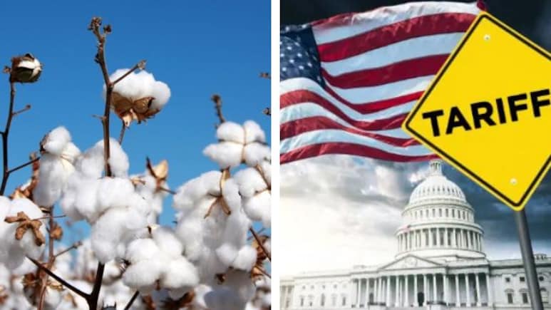 Amid US Tariffs, India Suspends Cotton Import Duties Temporarily To Aid Textile Sector
